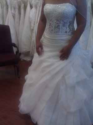 The DRESS- now with pics!