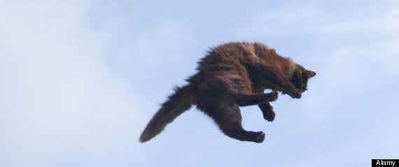 Starting my post in spite of spammers....fighting with FH/FW poll.