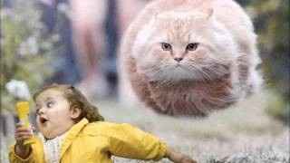 Starting my post in spite of spammers....fighting with FH/FW poll.