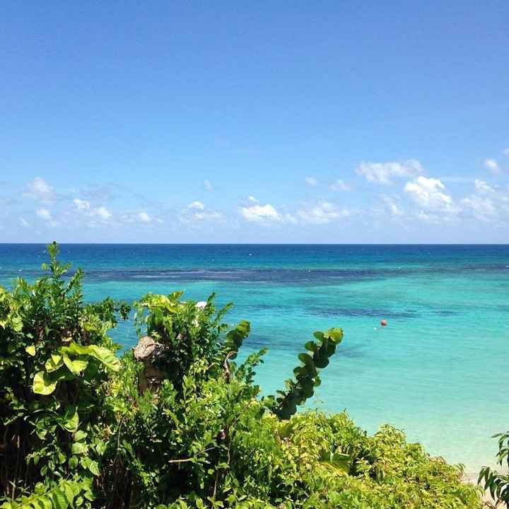 Show Me Your: Honeymoon Pics!