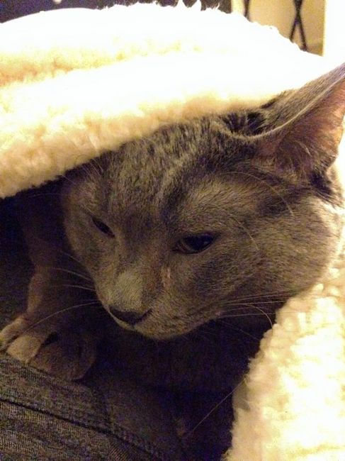 NWR: Meet our new furbaby!