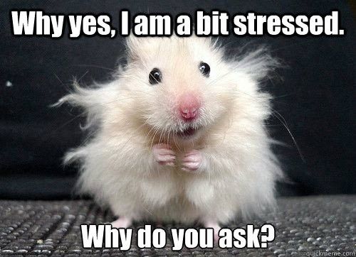 NWR - Meme Monday and Discussion