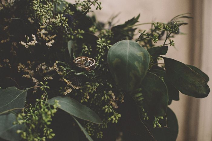 Show me your creative ring shot!