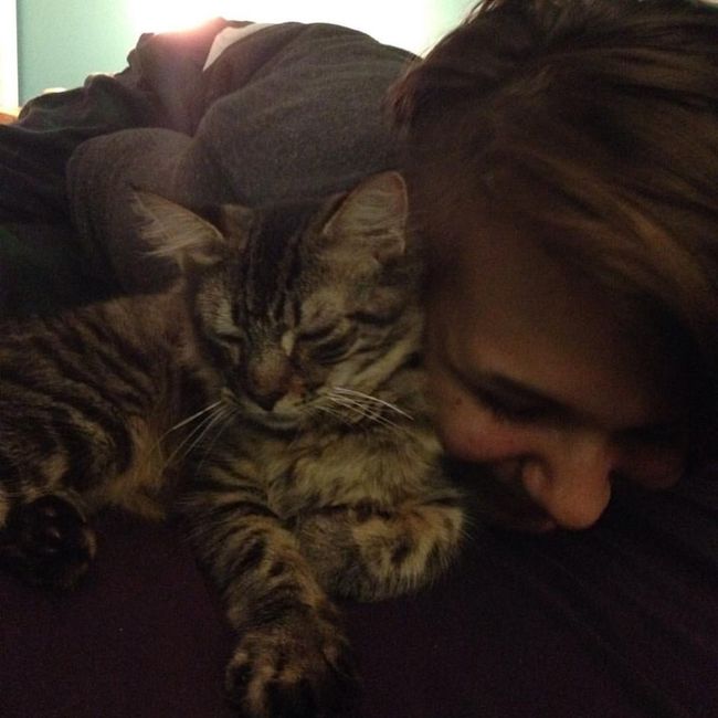 Shameless new kitten post: Meet Mischka!