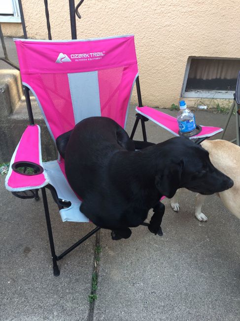 NWR: Our fur baby is going to the big dog park in the sky :(