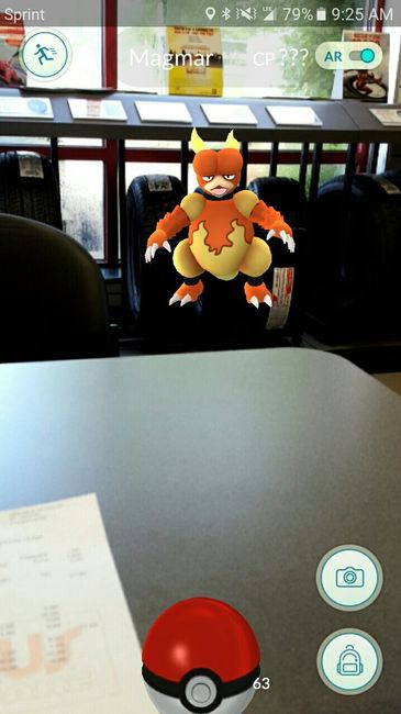 NWR: Pokemon Go