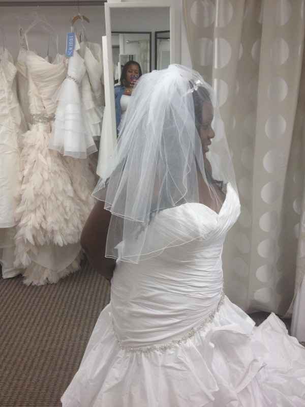 plus size brides - as in size 24 up, what dress sillouette did you pick? please show pics!