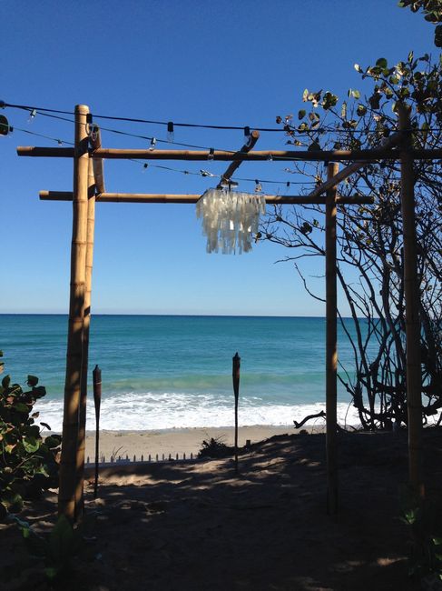 Bamboo Arch, Chuppah, or Canopy Rentals??