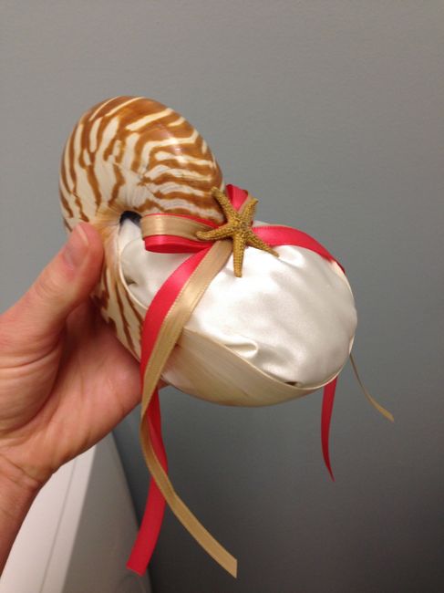 Instead of the traditional ring bearer pillow..........