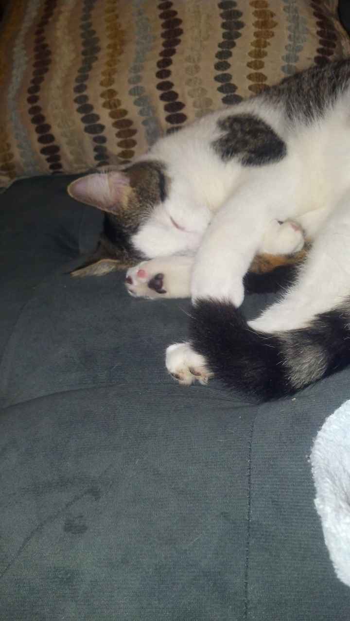 Show mee yourrr…..