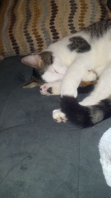 Show mee yourrr…..