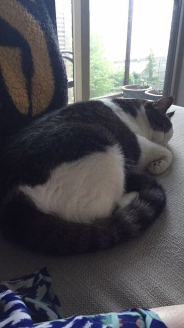 NWR Show me your furbabies