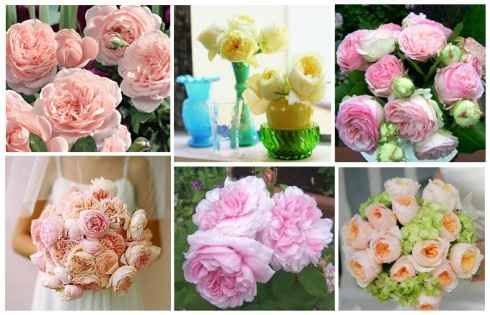 Peony bouquet a no go...