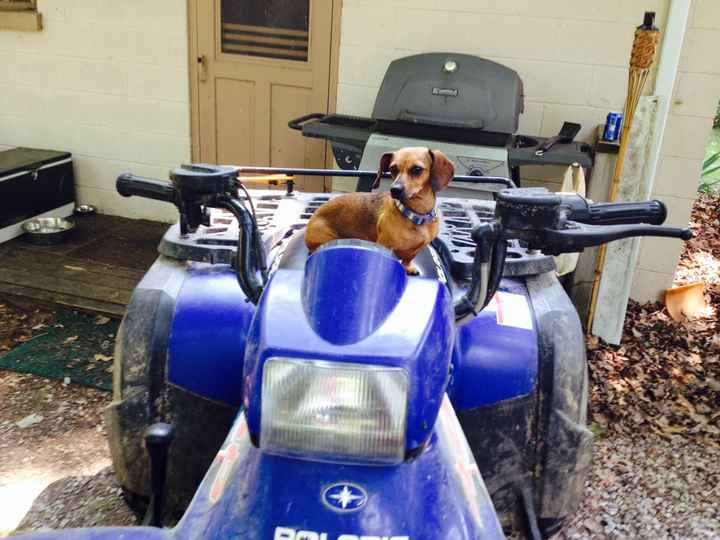 NWR...my fur baby passed and my FH was AMAZINGLY there for me.