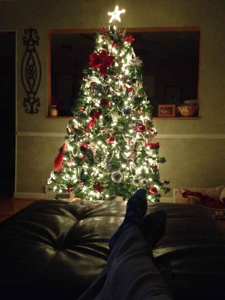 NWR Show me your tree!