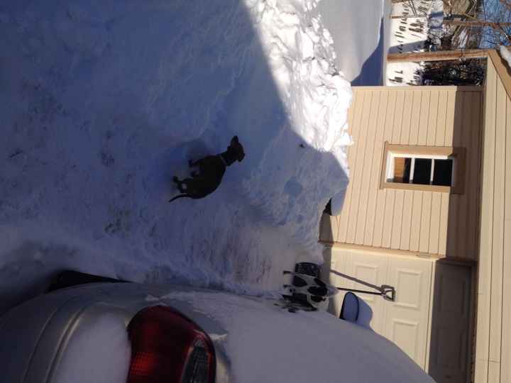 Winter Storm Linus (NWR)
