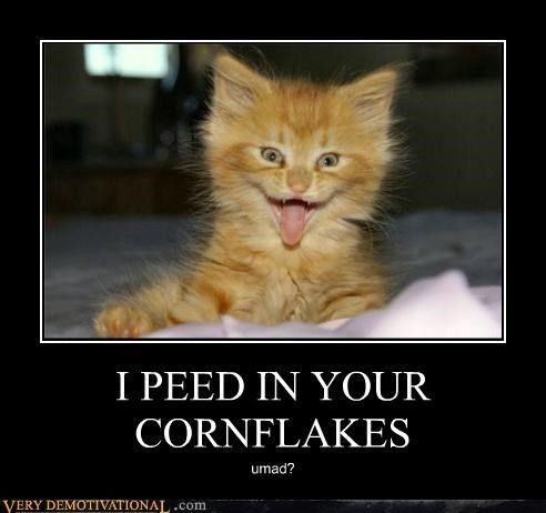 So who pissed in your cornflakes this morning?!