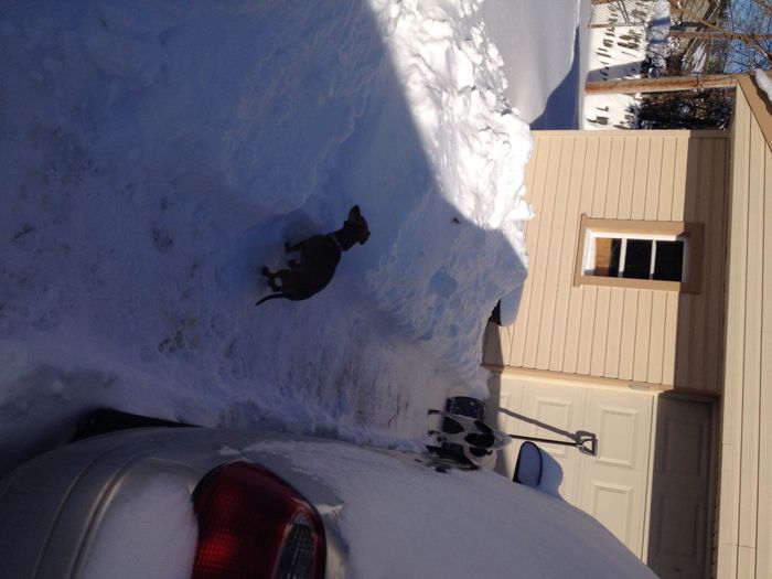 Winter Storm Linus (NWR)