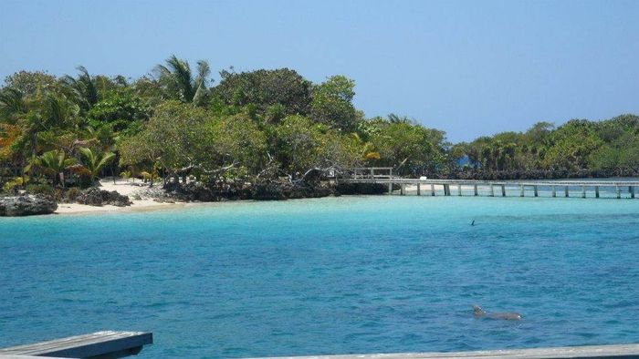 We booked our HONEYMOON!!