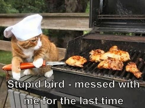 im self catering..anyone else ??