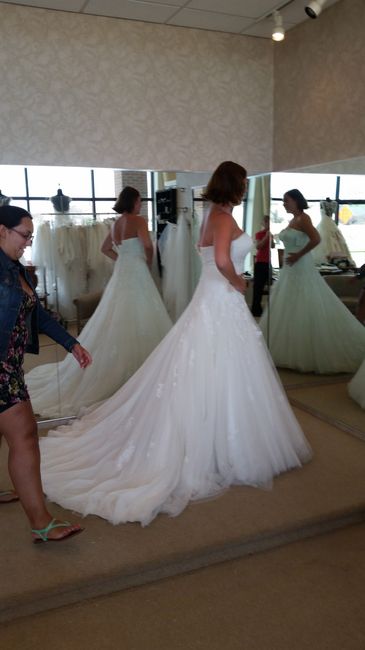 Gowns & Brides