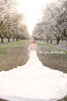 What to do with Dress after wedding?
