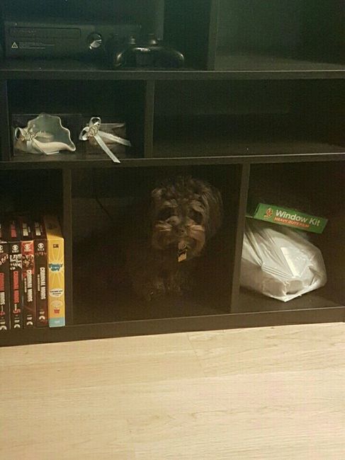 NWR: you and furbaby pic!