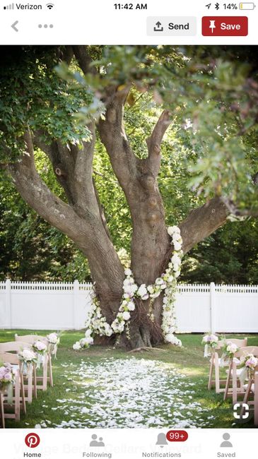 Ceremony Backdrop - 4