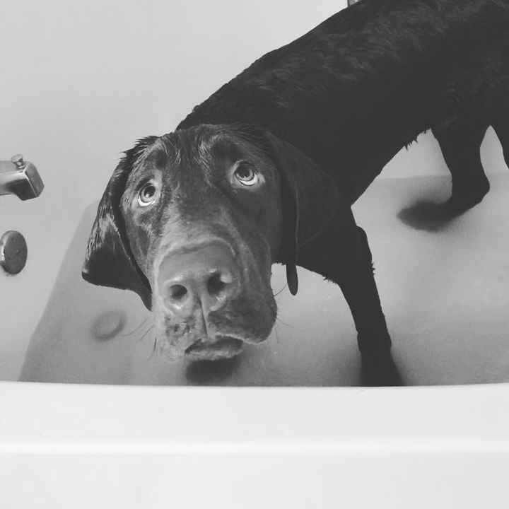 NWR: you and furbaby pic!