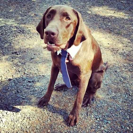 BAM!! Felt like I would never actually get to post one.