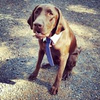 BAM!! Felt like I would never actually get to post one.