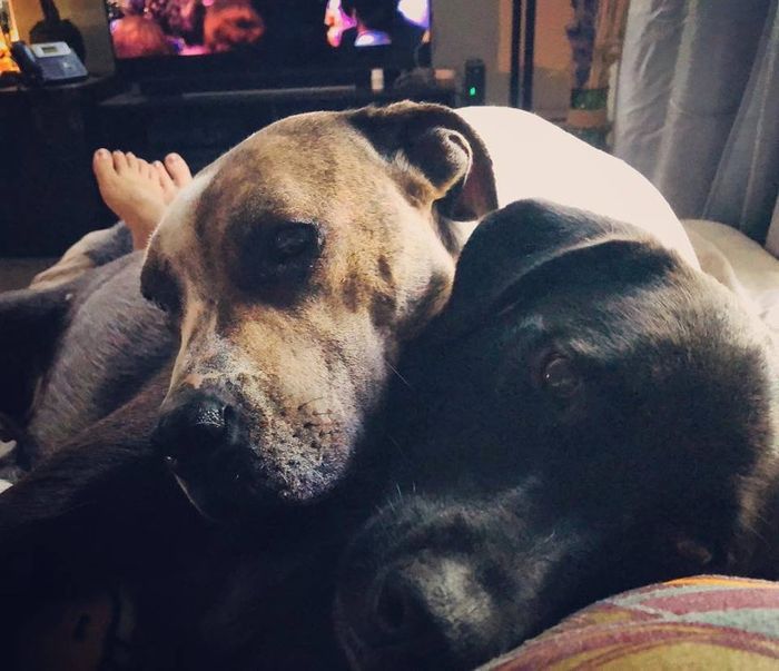 My little ladies.