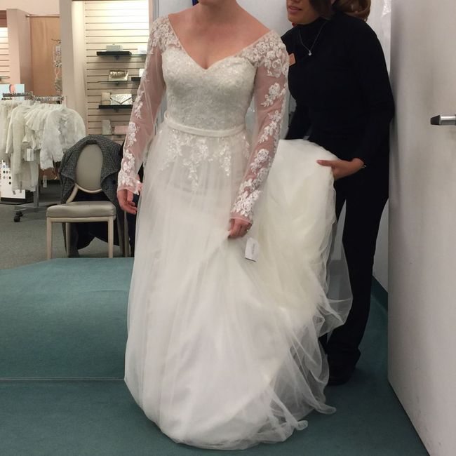The dress - 1