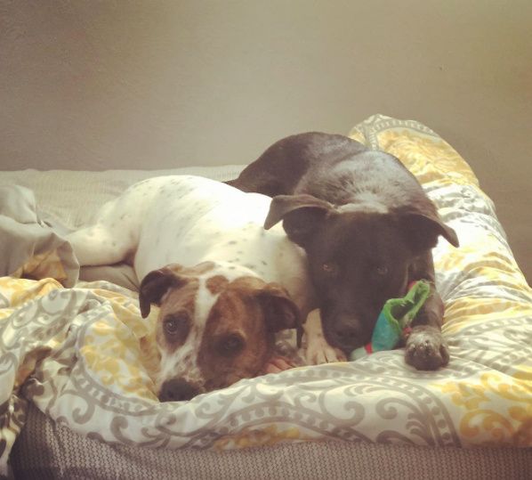 Rory and Addie