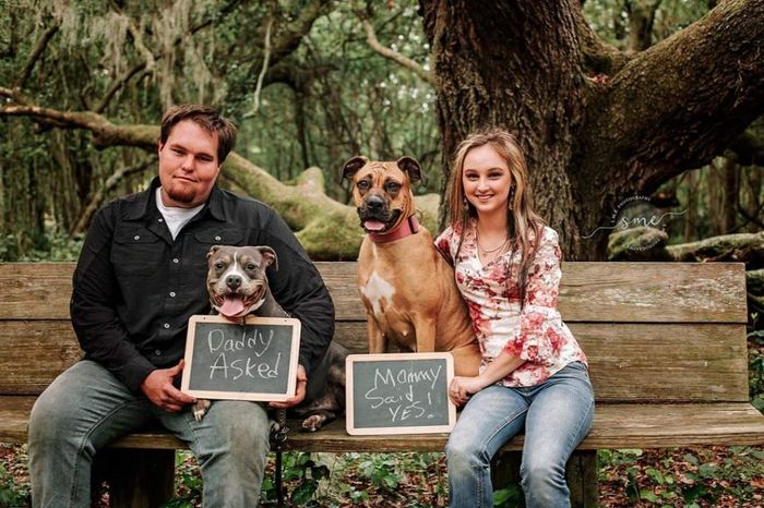 Engagement Pic with pups!!