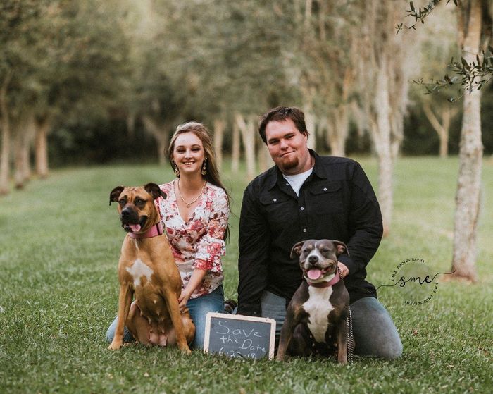 Engagement Pic with pups