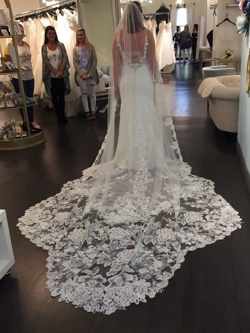 Cathedral Veil: Yay or Nay? - 1