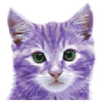 So regular users are getting banned from the forum now