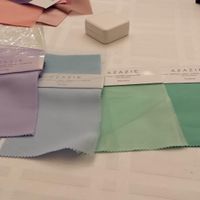 Show me your bridesmaid dresses!!