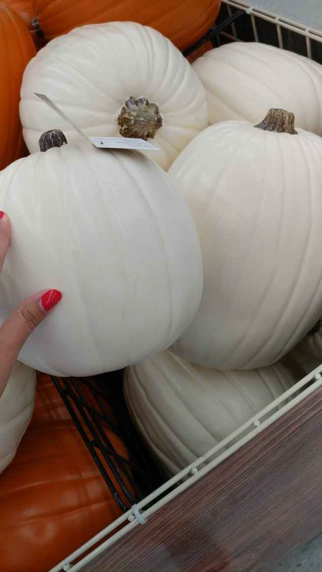 White pumpkin stenciling?