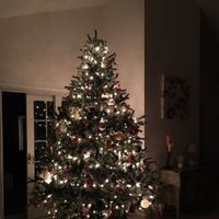 NWR-show me your Xmas trees