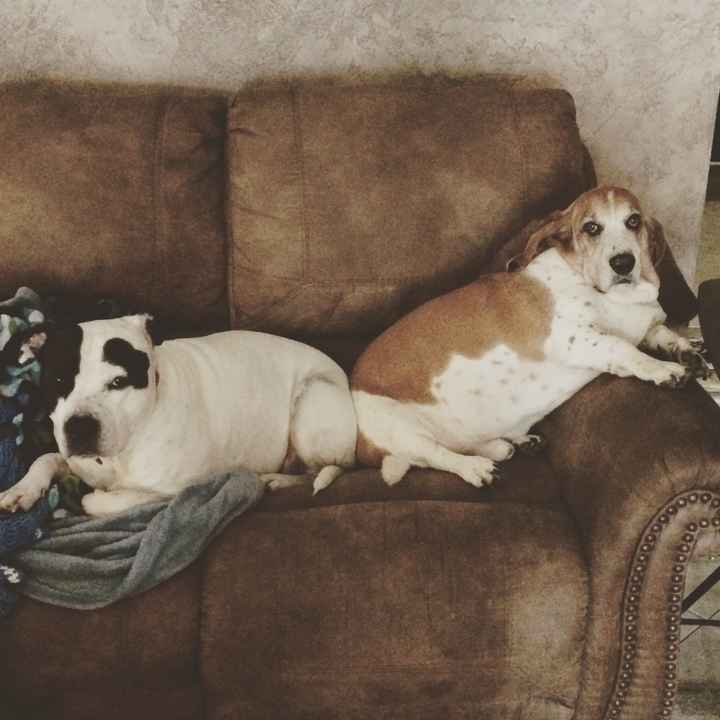 NWR Happy Fursday!!!