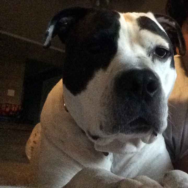 NWR:  Meet Annabelle!