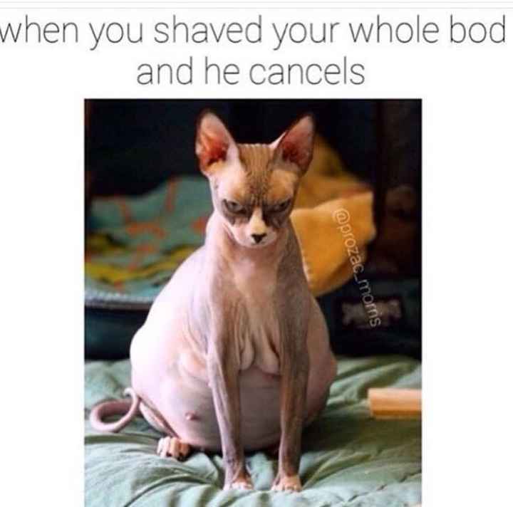 NWR:depressed cheer me up?