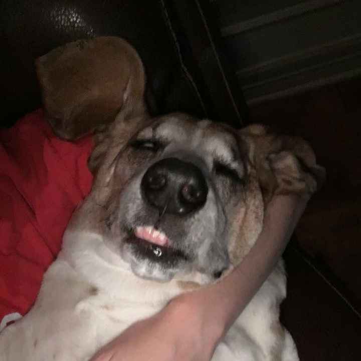 NWR:depressed cheer me up?