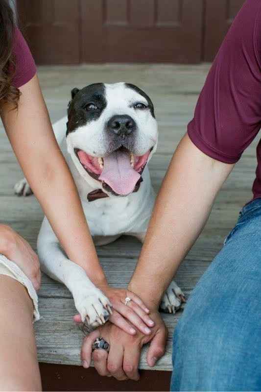 Show us your fave engagement pic!