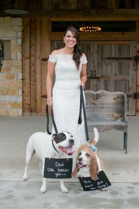 Engagement Photos with Pets: Share Your Tips and Pics!