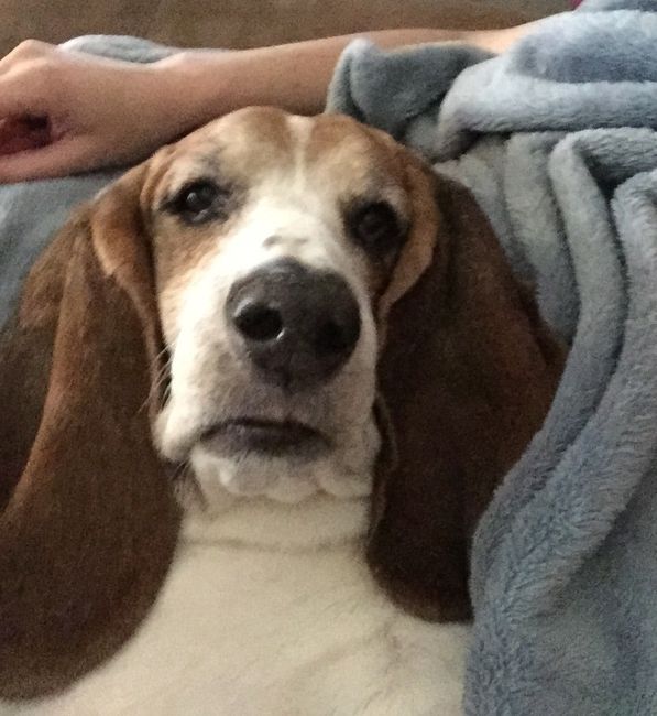 NWR: Happy Fursday!