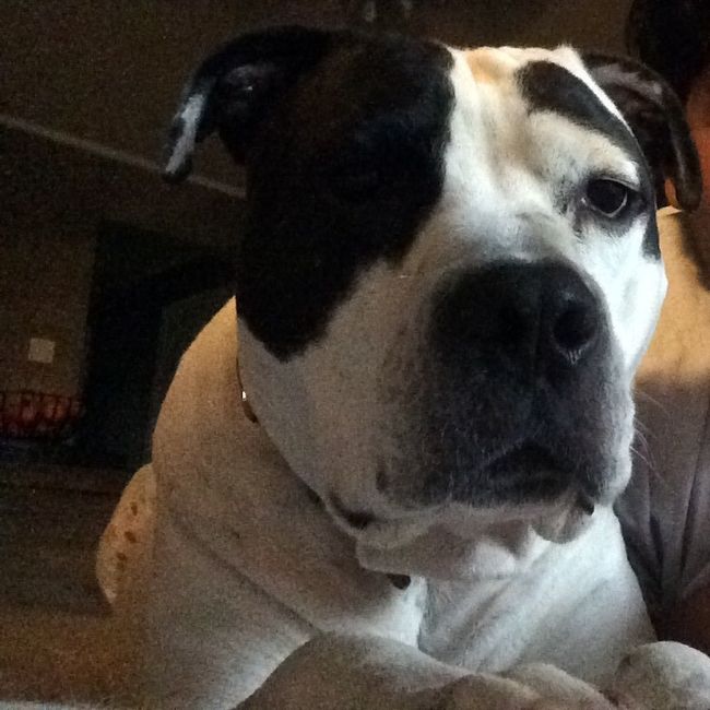 NWR:  Meet Annabelle!
