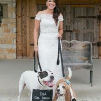 NWR- Pibbles and Homeowner Insurance